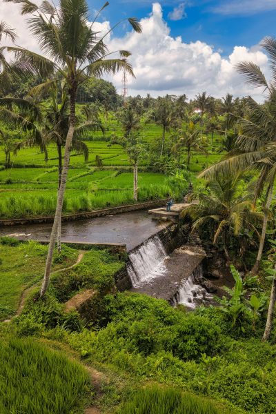 ubud-4